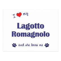 J'aime mon Lagotto Romagnolo (le chien femelle) Carte Postale