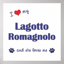 J'aime mon Lagotto Romagnolo (le chien femelle) Posters