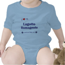 J'aime mon Lagotto Romagnolo (le chien femelle) Barboteuse