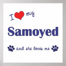 J'aime mon Samoyed (le chien femelle) Affiches