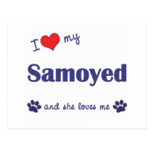 J'aime mon Samoyed (le chien femelle) Carte Postale