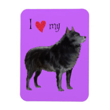 J'aime mon Schipperke Magnets