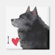 J'aime mon Schipperke Magnets