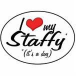 J'aime mon Staffy (c'est un chien) Photos En Relief