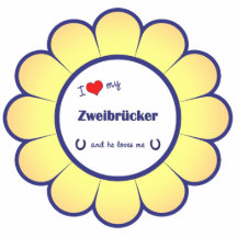 J'aime mon Zweibrucker (le cheval masculin) Photos En Relief