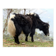 jakken wenskaart