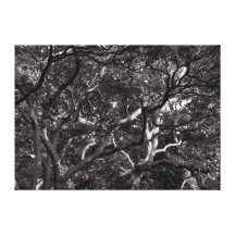 Japanse Takken III Gallerij Wrapped Canvas