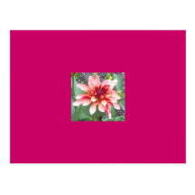 Jardin anglais floral cartes postales