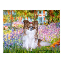 Jardin - Papillon 6 Carte Postale