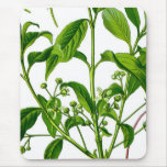 Jardin Tapis De Souris