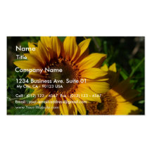 Jaune de tournesols modèle de carte de visite