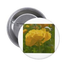 Jaune d'or pin's