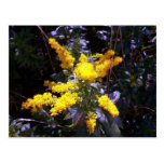 Jaune d'Unmellow Carte Postale