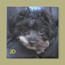 JD magnets
