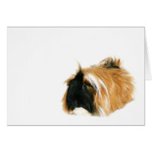 Je ne suis pas un tribble ! carte de vœux