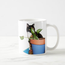 Je suis frais mug