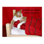 Je t'aime plus que mon ours de nounours cartes postales
