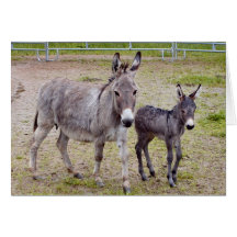 Jessabell et Itsy Carte De Vœux