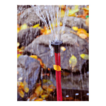 Jet d'eau cartons d'invitation