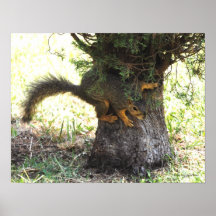 Jetez un coup d'oeil un huer affiches
