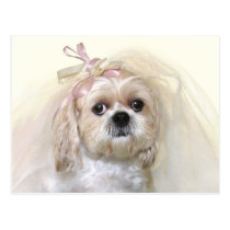 Jeune mariée de Shih Tzu cartes postales