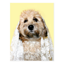 Jeune mariée ou demoiselle d'honneur canine cartes postales
