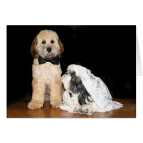 Jeunes mariés canins cartes