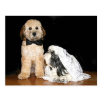Jeunes mariés canins cartes postales