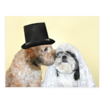 Jeunes mariés canins cartes postales