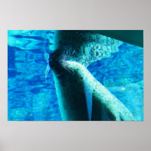 Joint Posters