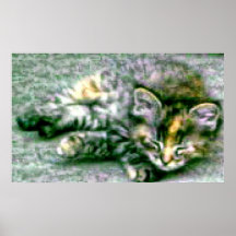 Joli sommeil Kitty Poster