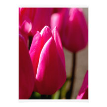 Jolie carte de tulipe cartons d'invitation personnalisés