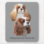Jolies filles cavalières Mousepad Tapis De Souris