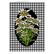 Jolies fleurs d'edelweiss sur la coutume de guinga cartes