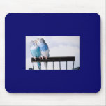 JOLIES PAIRES MOUSEPAD DE PERROQUET TAPIS DE SOURIS