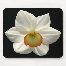 Jonquil/jonquille Tapis De Souris