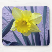 Jonquille en fleur tapis de souris