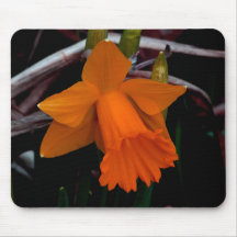 Jonquille orange tapis de souris