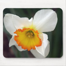 Jonquille Tapis De Souris