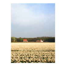 Jonquilles Faire-parts