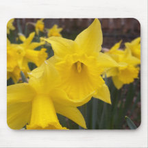 Jonquilles Mousepad de ressort Tapis De Souris