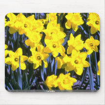 Jonquilles Tapis De Souris
