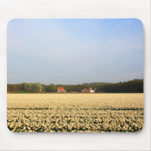 Jonquilles Tapis De Souris