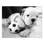 Jouons au football !  Chiot anglais de bouledogue Art Photographique