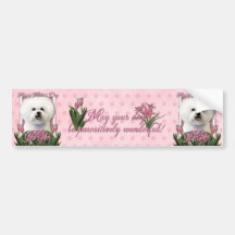 Jour de mères - tulipes roses - Bichon Frise Autocollants Pour Voiture