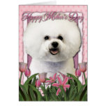 Jour de mères - tulipes roses - Bichon Frise Cartes De Vœux