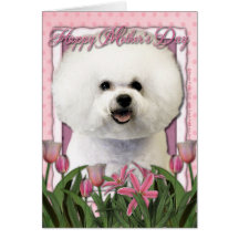 Jour de mères - tulipes roses - Bichon Frise Cartes De Vœux