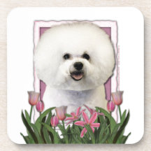 Jour de mères - tulipes roses - Bichon Frise Sous-bocks