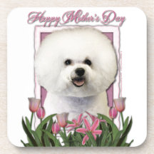 Jour de mères - tulipes roses - Bichon Frise Sous-bock