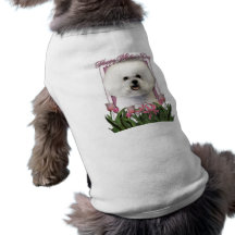 Jour de mères - tulipes roses - Bichon Frise Manteaux Pour Animaux Domestiques